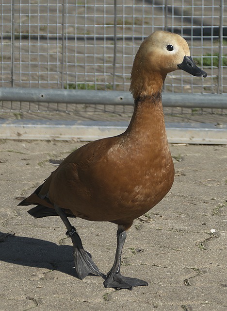 人知晓