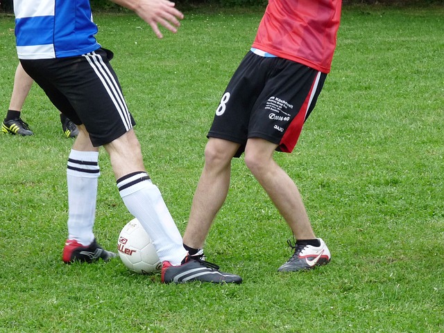 爱德华兹已 爱德华兹已