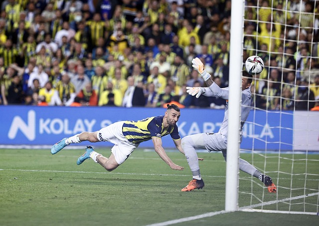 目标球员的 目标球员的