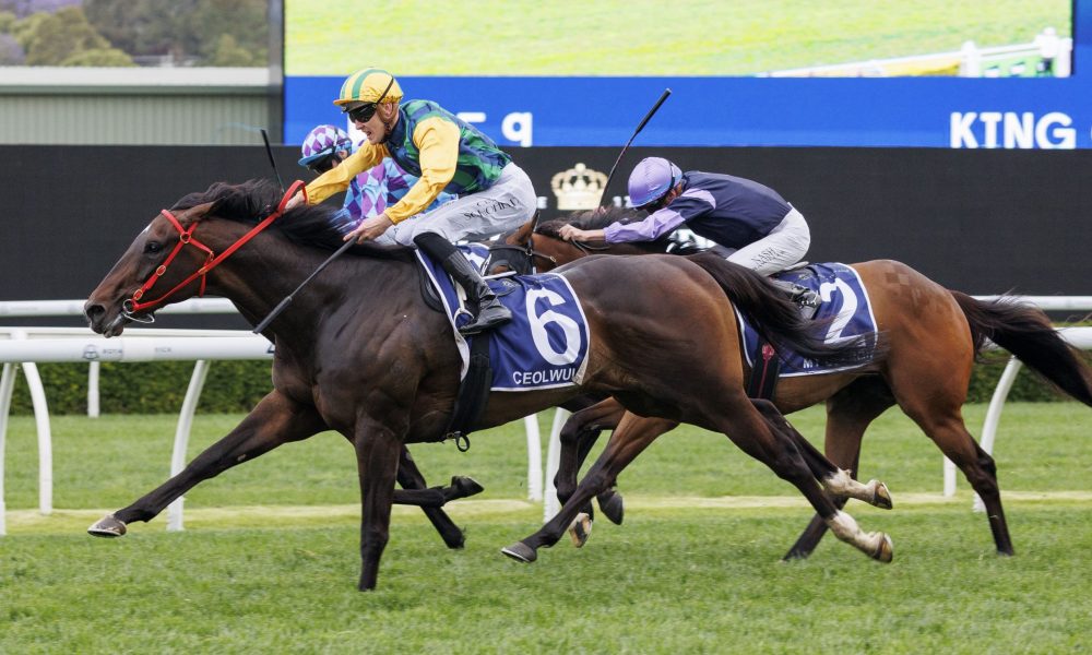 出色的防守 出色的防守